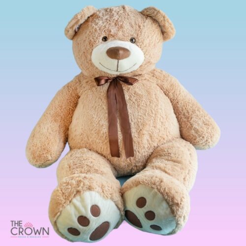 Oso de Peluche Grande (100cm).