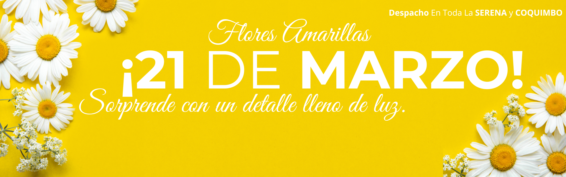 FLORES AMARILLAS DE MARZO 2026